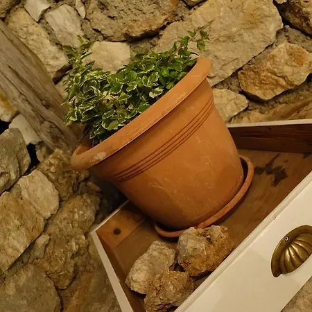 Tatil Evi Nina